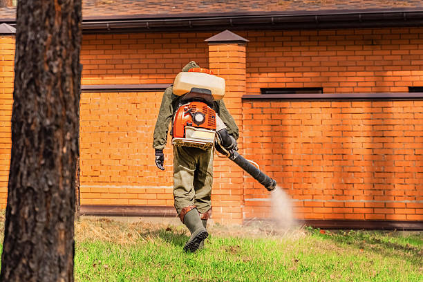 Bed Bug Clearance Verification and Documentation in Stanford